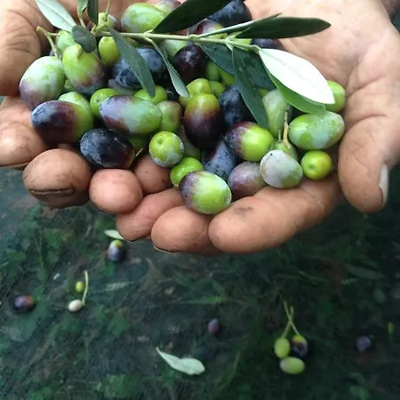 Nyaraló Alba Del Gargano