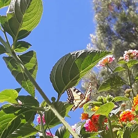 Alba Del Gargano Nyaraló *
