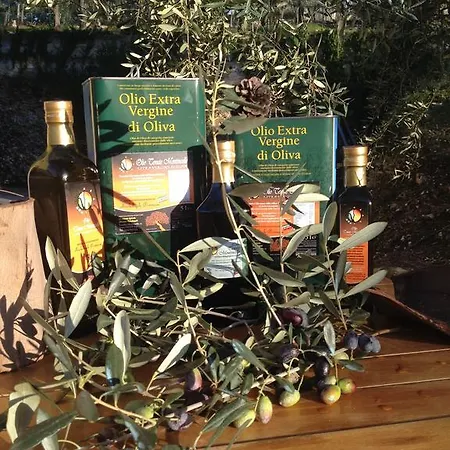 Alba Del Gargano 维耶斯泰